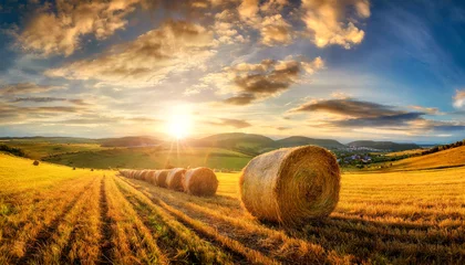 Fotobehang Row of hay bales on a golden beautiful landscape at sunset or sunrise. Agricultural field with hills and sky with clouds in the background. Generative Ai. © Alberto Masnovo