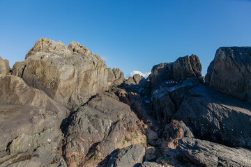 Northern Ireland's Oceanic Cliffs in Captivating Detail. Close up stone and moss, natural details