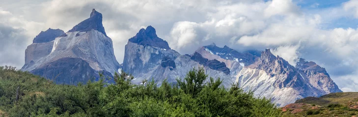 Papier Peint photo autocollant Cuernos del Paine Majestic Mountain Peaks Towering Over Lush Greenery