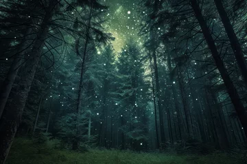 Foto op Plexiglas Forest at night with stars © STOCKAI