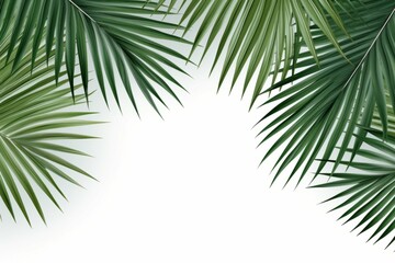 palm tree leaves wtf vector clip art illustration http upload - obrazy, fototapety, plakaty