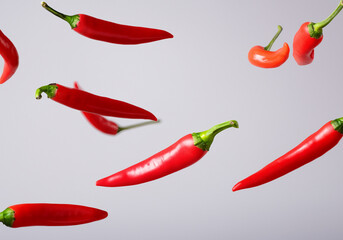 Fresh red chili in mid air
