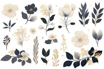 Collection of hand drawn linear various plants and flowers, minimalist illustration isolated on transparent background	