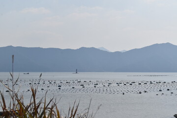 sea surrounded by peninsula