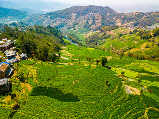 Lush Green Terraces and Village Homes in the Foothills of Nagarkot, Nepal