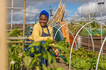 Joyful Harvesting in Community Vegetable Garden