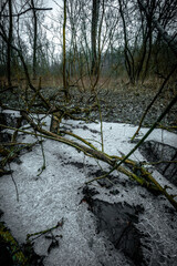 Water in the forest . Old lake in the woods . Green and blue river . Mystery weather. Olds trees . Forest beauty . Frozen forest and frozen lake . 