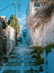 Traditional greek  street  on island - 757220469