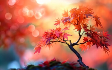 Obraz na płótnie Canvas Autumn Maple Tree