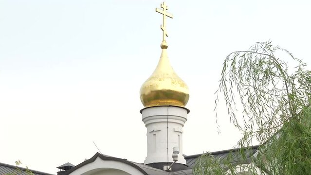 
Orthodox Church against the sky. White, beautiful temple.
