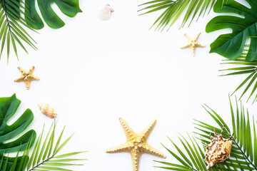 Summer flat lay on white background. Tropical leaves, palm leaves and sea shells.