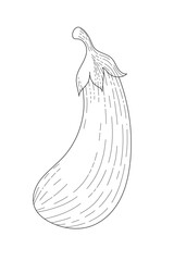 BW vector illustration of food. Eggplant. Realistic vector drawn illustration. Ingredients for cooking healthy food. Delicious vegetarian food. Growing vegetables