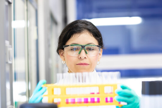 Focused scientist examining a test tube rack in a laboratory