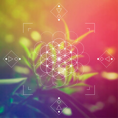 Flower of life. Tree of life. Sacred geometry spiritual new age futuristic illustration with interlocking circles, triangles and particles