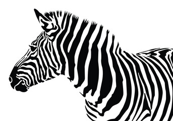 Fototapeta na wymiar Zebra pattern shape vector illustration for background design.