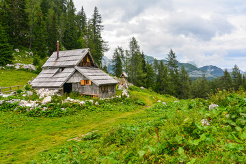 A traditional wooden chalet in the heart of the Julian Alps in Slovenia above Lake Bohinj in the...