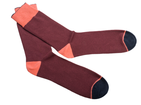 a pair of socks