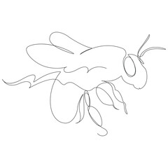 Continuous one line drawing of flying bee simple illustration bee line art vector illustration