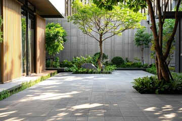 Modern house patio made of concrete with trees, modern architecture.