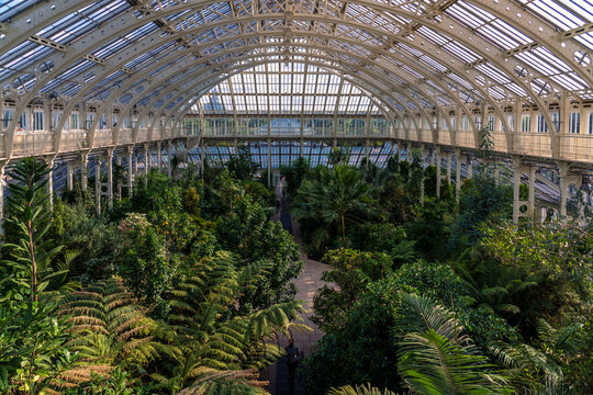 Temperate House in Kew Gardens