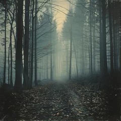 Deurstickers a path through a forest © Cornilov