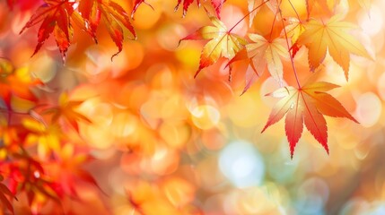 Seasonal Symphony - Red and Yellow Maple Leaves Set Against the Tranquil Harmony of Soft Focus Light and Bokeh