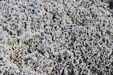 perforated beach rock. Spongy rock formation at sea side. 