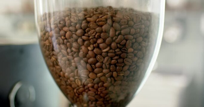 A clear container is filled with brown coffee beans