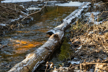 Tranquil Winter Woodland with Partially Frozen Stream