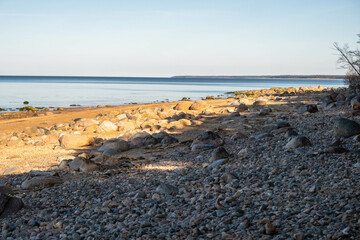 Serene Rocky Shoreline Under the Clear Blue Sky