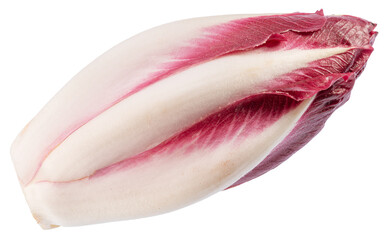 Red endive on white background. File contains clipping path. - 757257612
