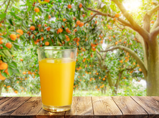 Glass of orange juice on wooden board or table top and blurred orange orchard. Place your product display. - 757257863