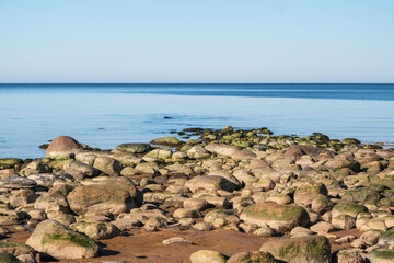 Serene Rocky Beach with Clear Blue Sky