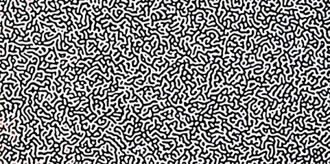 Gradient noise line abstract spread geometric background. Monochrome Turing reaction background. Abstract diffusion pattern with chaotic shapes. Vector illustration - obrazy, fototapety, plakaty