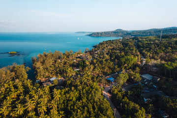 Coconut tree garden by the sea on the island, high angle view