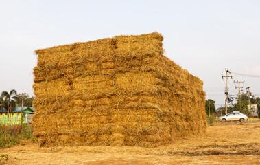 A view of piles of straw bales stacked on top of each other in an orderly large pile.