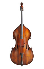 Fototapeta premium violin isolated