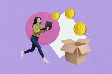 Composite photo collage of young happy girl hold computer laptop coin money income earnings fly box...