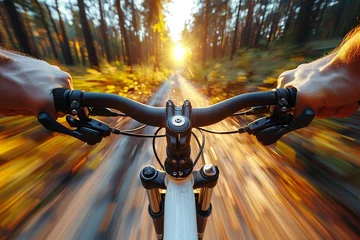 Tuinposter Bicycle Ride in the Park: POV Perspective with Sunlight Background. Generative ai © Andrii