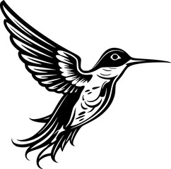 Obraz premium Hummingbird | Black and White Vector illustration