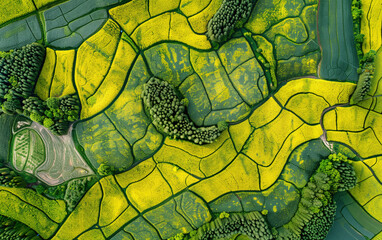 Aerial photography of rapeseed fields in Wuyuan, Jiangxi Province, China,created with Generative AI tecnology.