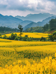 Scenery of rapeseed fields in Wuyuan, Jiangxi Province, China,created with Generative AI tecnology.
