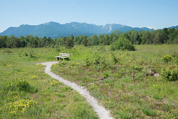 bench at  the Isar flood plains, view to Brauneck mountains, upper bavaria