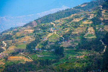 Fototapeta na wymiar Terraced Agriculture and Winding Roads in Nagarkot, Nepal