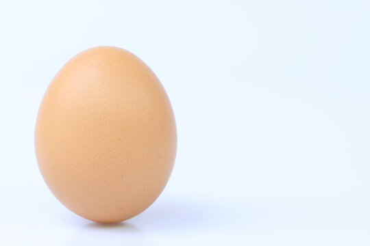 egg