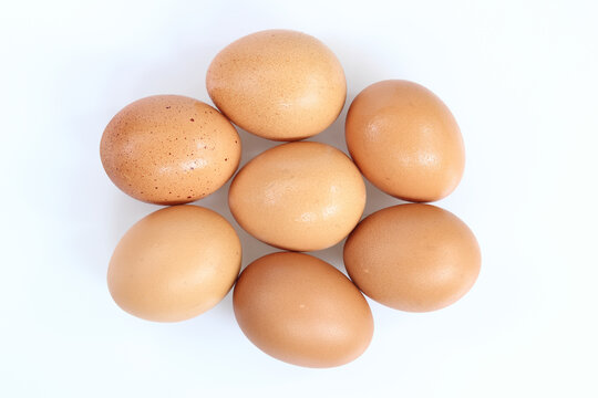 egg