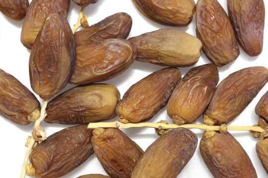 Date Palm