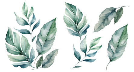 Watercolor greenery branch leaves twigs floral plant bouquet isolated white background. Botanical leaf illustration - obrazy, fototapety, plakaty
