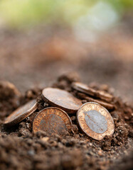 Old gold coins rusted and buried in dirt - 757296643