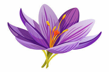 purple lotus flower vector art illustration